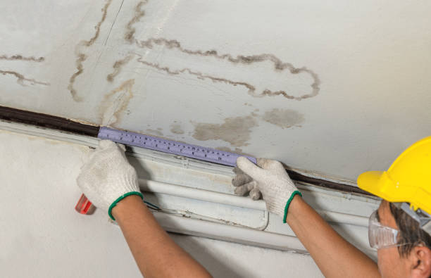 Reliable Burst Pipe Cleanup contractor in Summerdale, PA by Water Damage Irwin